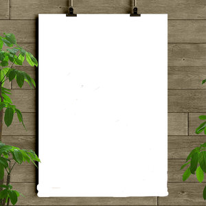 F.Image&Color Swatch Without Background Changing...